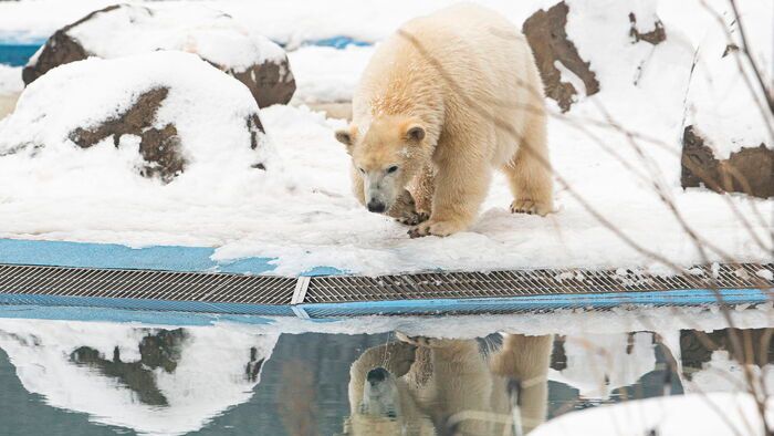 Havazás Nyíregyházán
