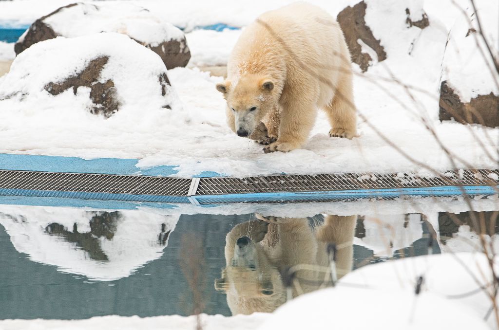 Havazás Nyíregyházán