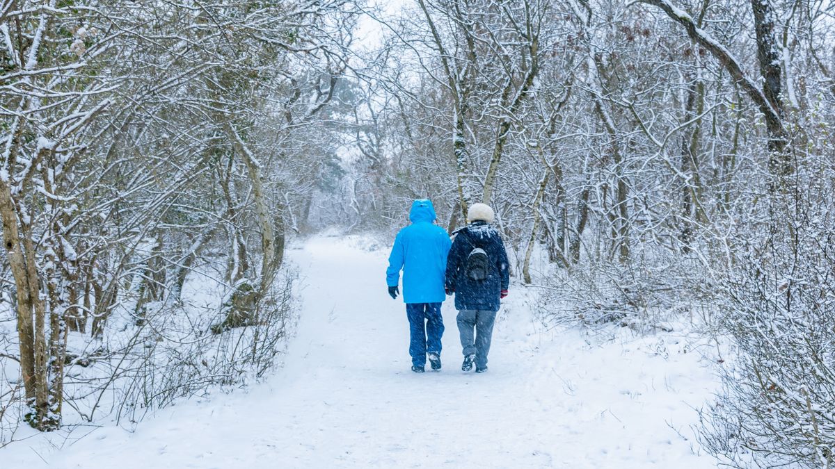 Újabb csapadékzóna tör be Magyarországon