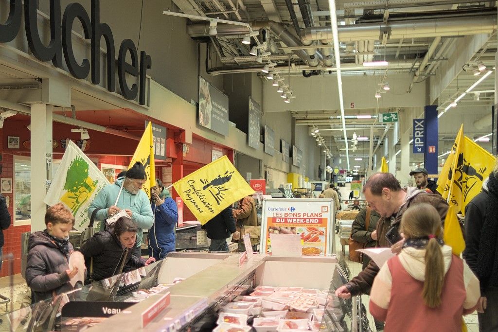 The farmers union the Confederation Paysanne organized two actions to protest against the total slaughter of herds infected with Lumpy Skin Disease and the EU-Mercosur agreement Limoges France January 11 2026. Remove the decorative resin cows along the A20 highway and identify and label products from Mercosur in a Carrefour store. 
Le syndicat agricole la Confederation paysane a organise deux actions pour protester contre l abattage total des troupeaux infectes par la dermatose nodulaire contagieuse DNC et l accord UE Mercosur Limoges France 11 janvier 2026. Déboulonner les vaches décoratives en résine qui bordent l'autoroute A20 et identifier et étiqueter les produits venant du Mercosur dans un magasin Carrefour. (Photo by Christophe Noisette / Hans Lucas via AFP)