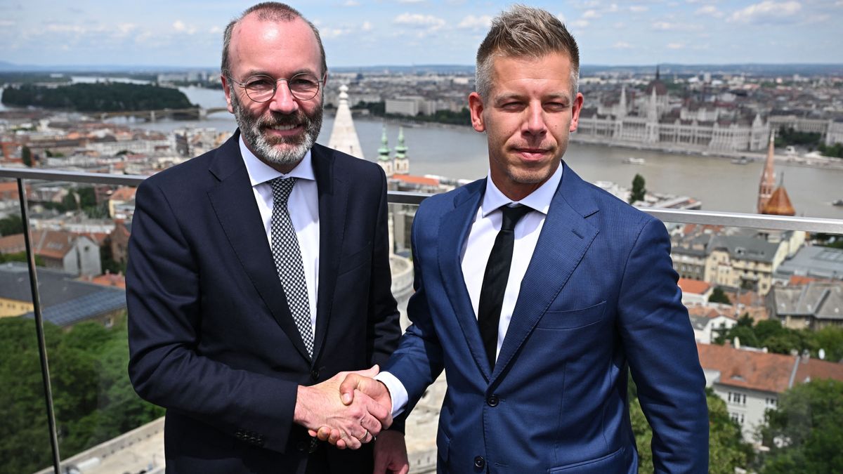 Társadalmi katasztrófát okozna Magyar Péter