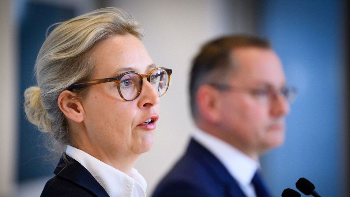 Az AfD új választásokat követel a tartományi kormány bukása után