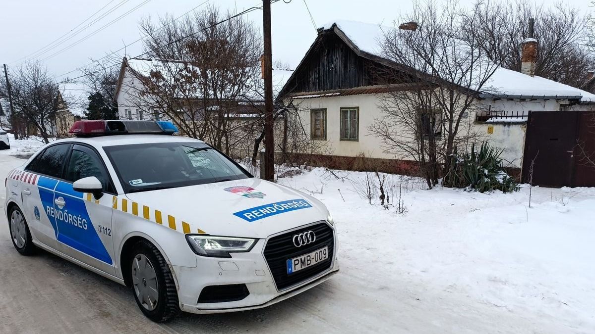 Félig felfalt holttestre bukkantak egy mélykúti házban