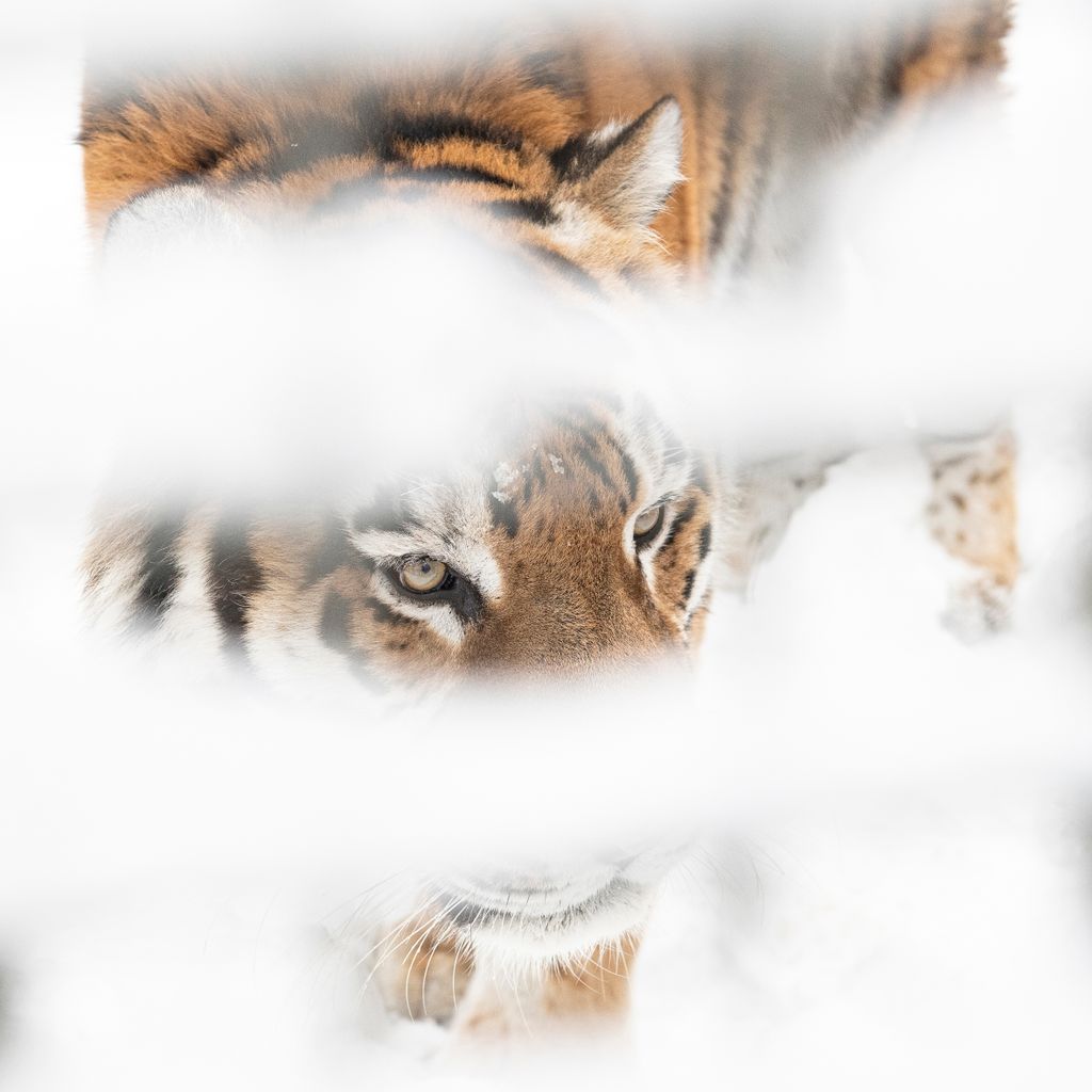 Havazás Nyíregyházán