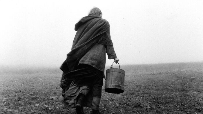 A torinói ló (2011)