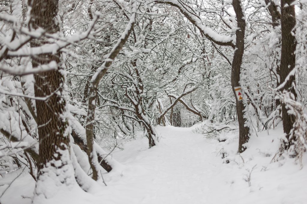 Havazás a Mecsekben
