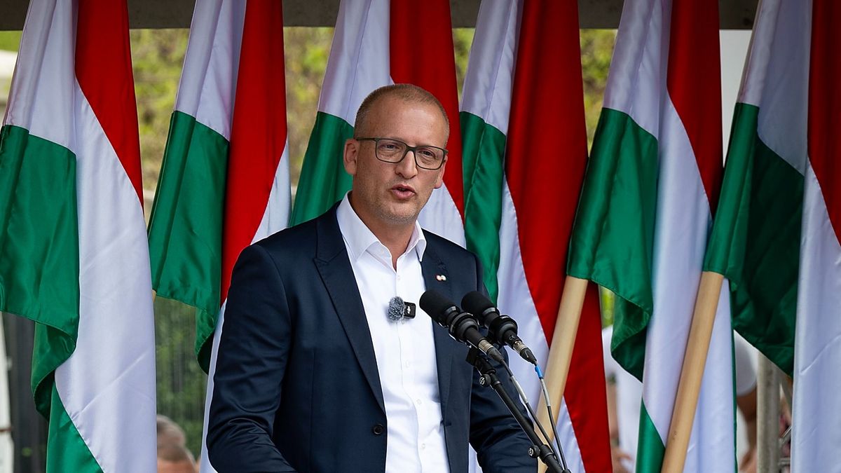 Tarr Zoltán a jobboldal sikeréért dolgozik + videó