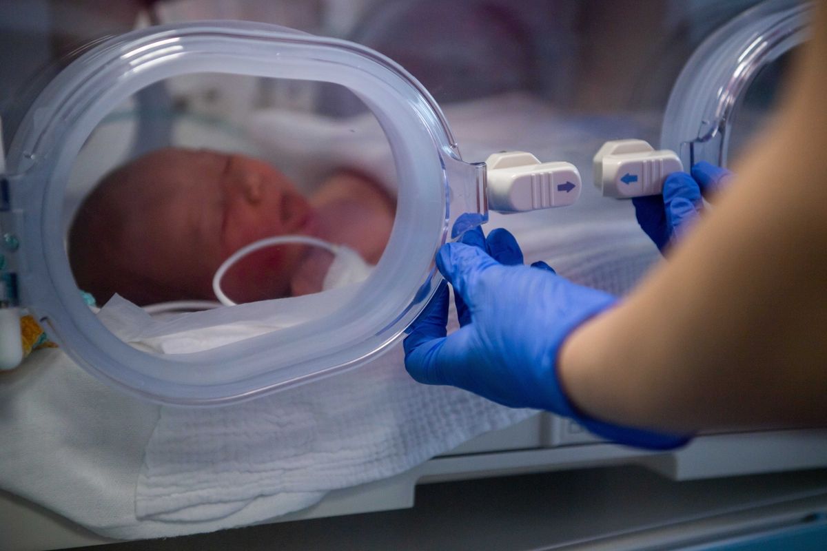 Budapest, 2023. március 7.
Újszülött az inkubátorban Budapesten, a TritonLife Róbert Magánkórház Perinatális Intenzív Centrumában, ahol sajtótájékoztatót tartottak a hazai egészségügyben az első emelt szintű koraszülött intenzív osztály megnyitása alkalmából 2023. március 7-én. A hazai magánegészségügyi szolgáltatók közül elsőként kapta meg a Nemzeti Népegészségügyi Központ (NNK) által kiadott működési engedélyt és nyitotta meg koraszülött intenzív ellátási centrumát a TritonLife Róbert Magánkórház.
MTI/Balogh Zoltán