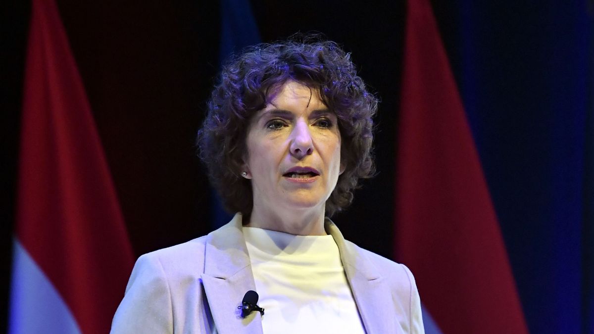 Dobrev Klára rárontott a külhoni magyarokra, elvenné a szavazati jogukat