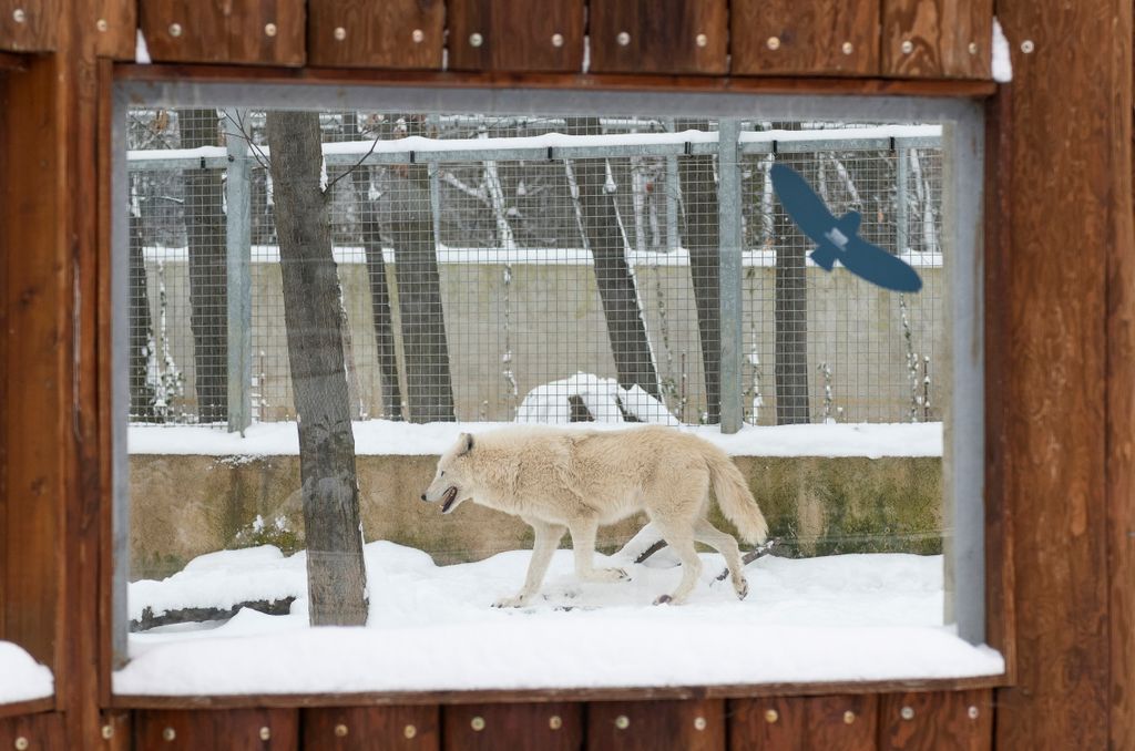 Havazás Nyíregyházán