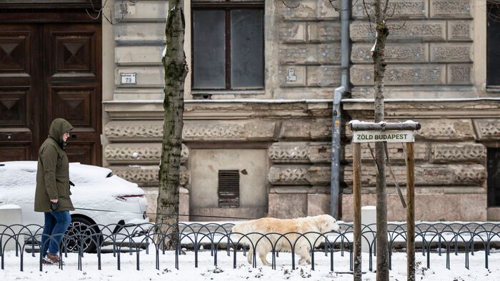 hó, havazás Budapesten