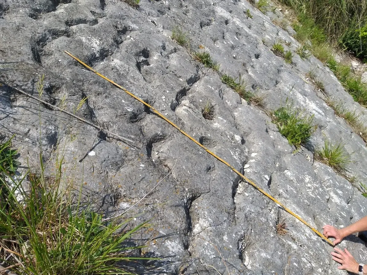 Sziklamászók bukkantak rá a csaknem 80 millió éves súlyos földrengés keltette tenger alatti iszaplavina nyomaira