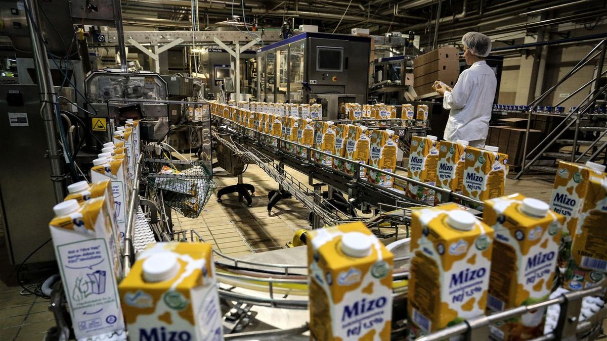 Itt a bejelentés: milliókat kaphatnak a gazdák tejautomatára