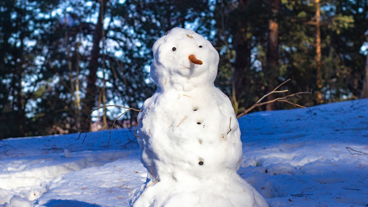 Micsoda ötlet: hóember szépségversenyt hirdettek egy magyar faluban + fotók