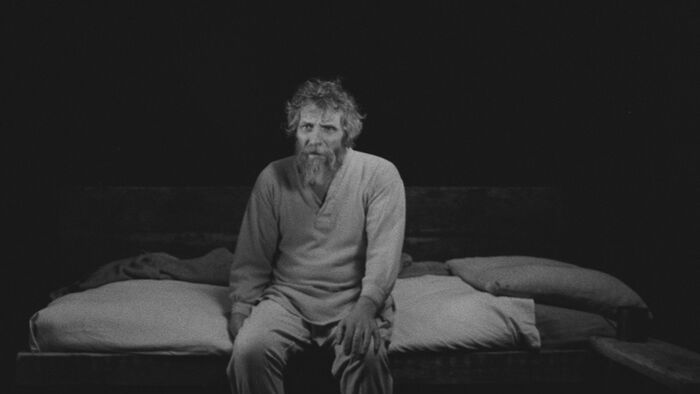 A torinói ló (2011)