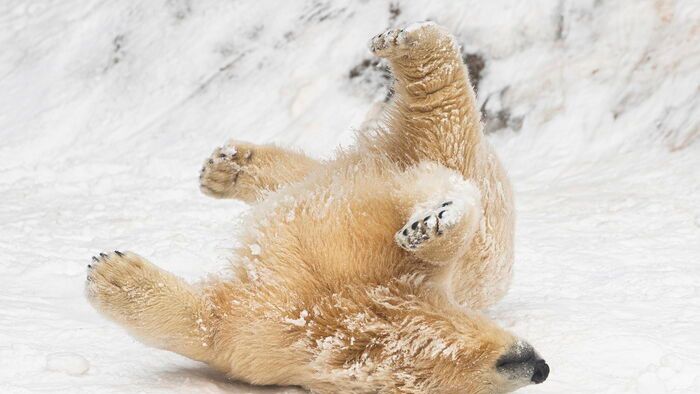 Havazás Nyíregyházán