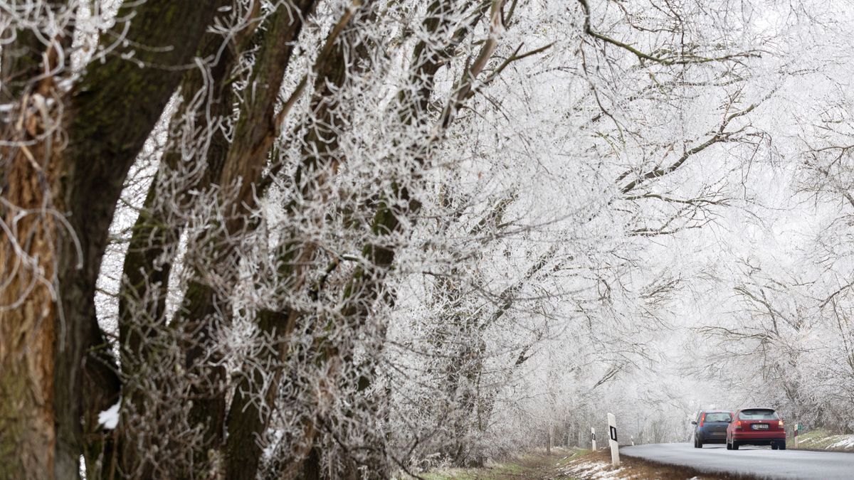 Ez a néhány dolog az életét is megmentheti, ha a hétvégén túrázni indul