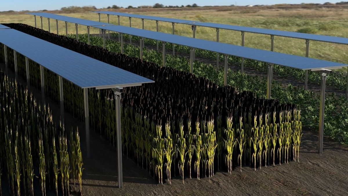 Magyar fejlesztés írhatja át a mezőgazdaság jövőjét – Ázsia és Afrika különösen örülhet az innovációnak