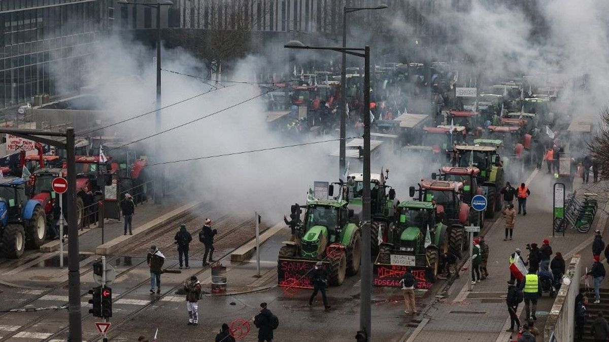 „Hol van itt logika?” – Zöldszabályok, olcsó import: így kerül padlóra az európai gazda