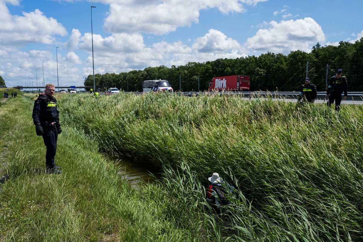 Illusztráció: Amszterdamban egy migráns késelte halálra Lisát. Holttestét egy út menti árokban találták meg.