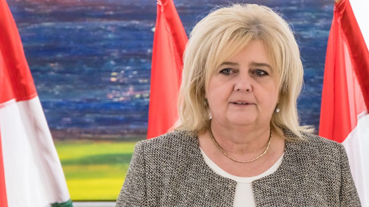 Nagyatád, 2025. november 10.
Kelei Zita Somogy vármegye 2-es választókerületének fideszes elnöke a Fidesz és a KDNP országjárása keretében tartott lakossági fórum előtt tartott sajtótájékoztatón Nagyatádon, a T25 Művészeti Galéria és Közösségi Házban 2025. november 10-én.
MTI/Katona Tibor

Gidró