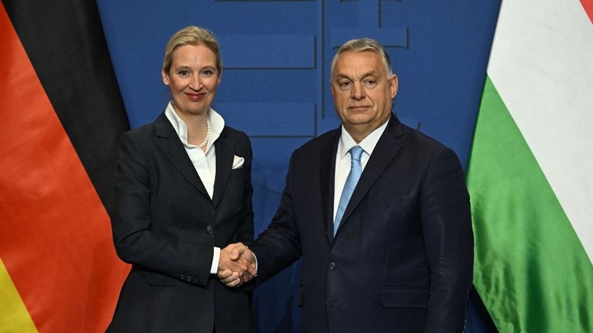 A patriótákat nem lehet elhallgattatni: az AfD meghívást kapott a müncheni biztonsági konferenciára