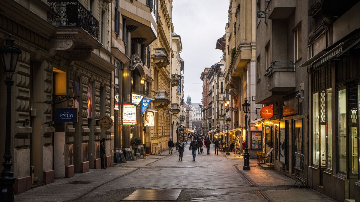 Nyelvünk helyén idegen vartyogás