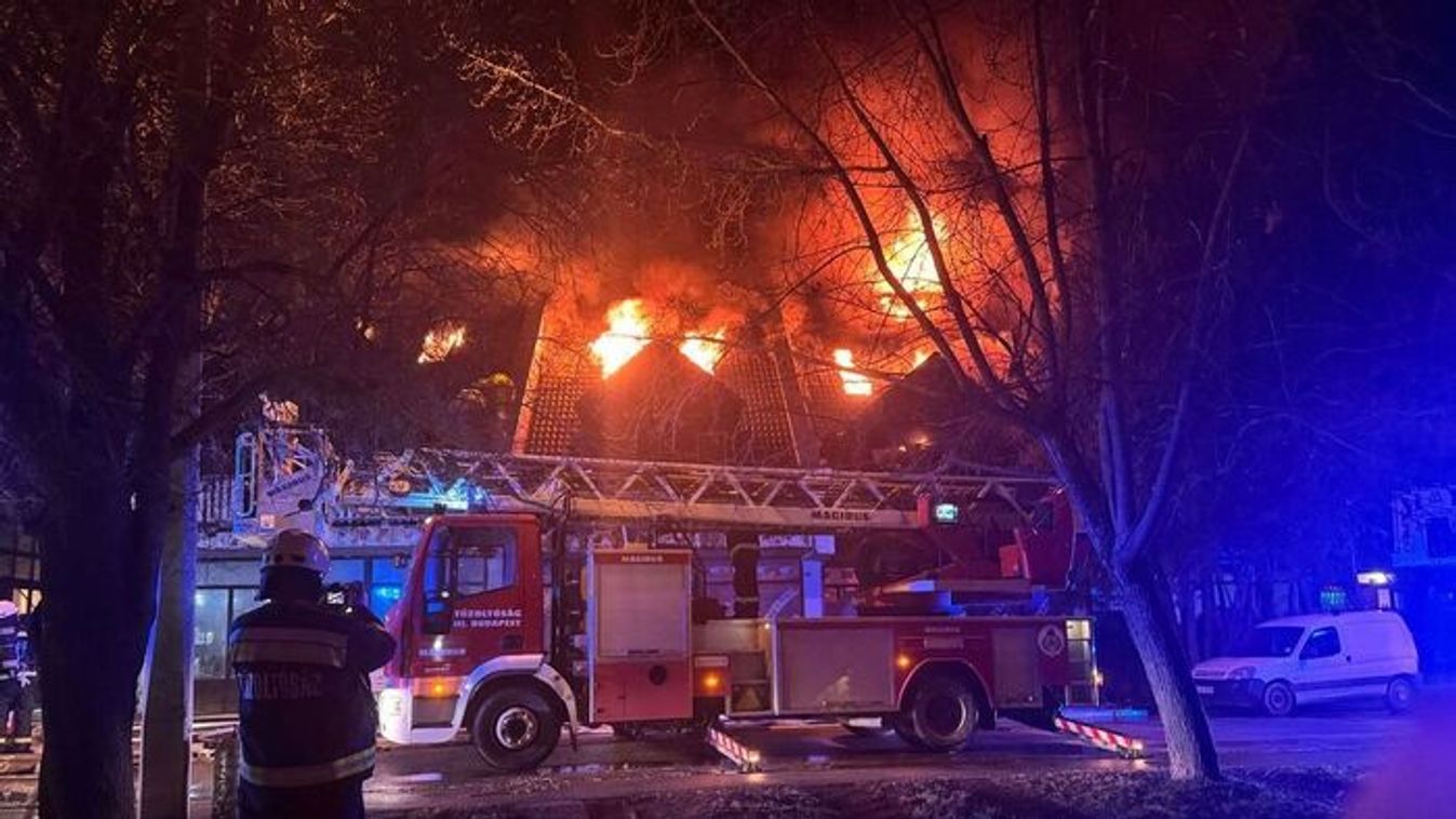 Budakeszi halálos tűzvész