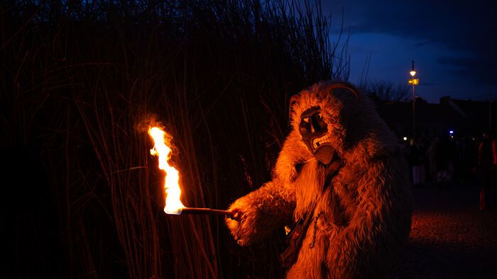 Mohácsi busójárás