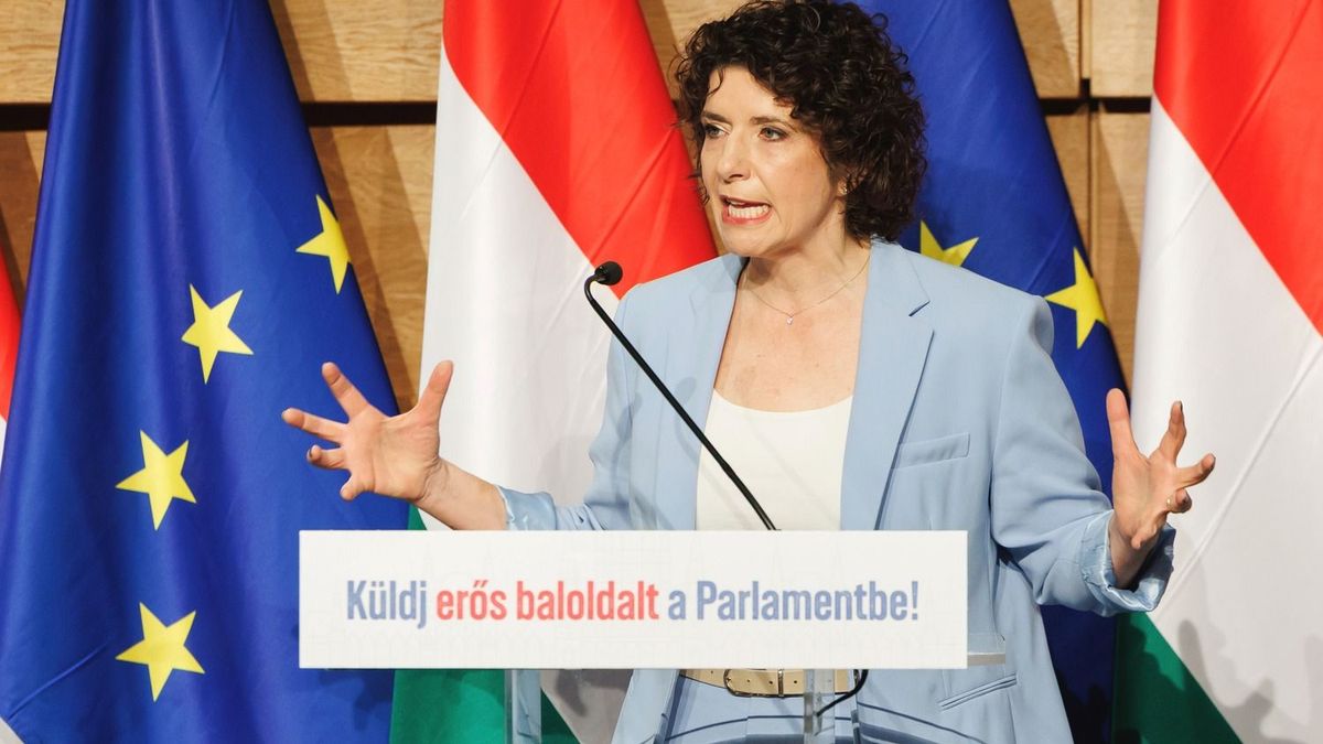 Dobrev Klára leragadt a múltban