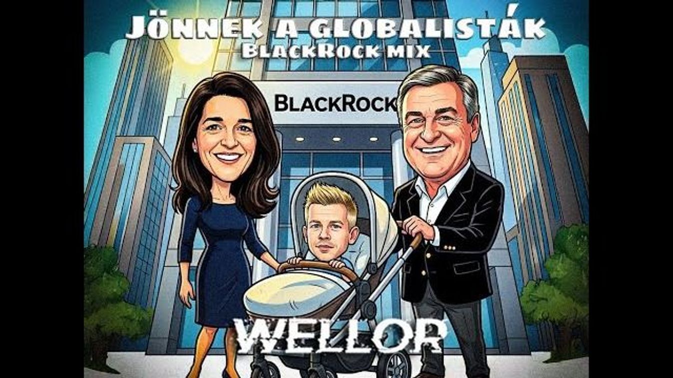 Cikk kép: undefined