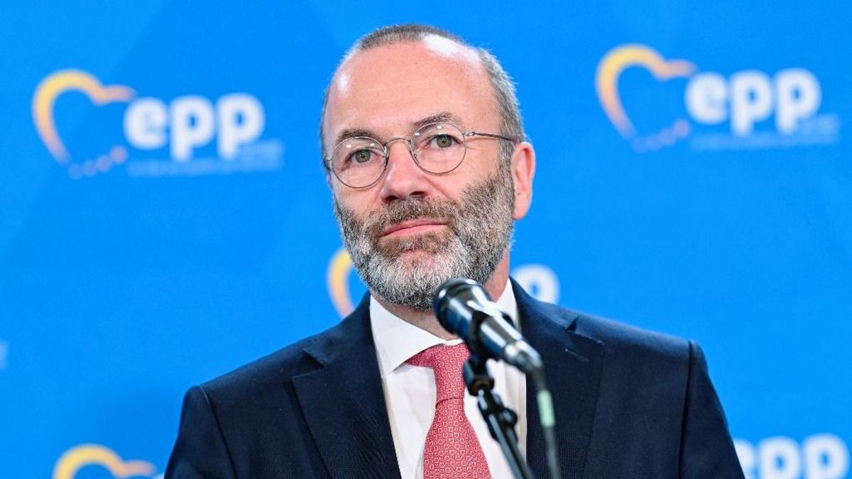 Nem a valóság talaján jár Magyar Péter brüsszeli főnöke