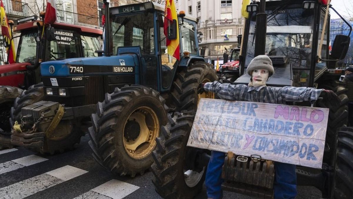 A Mercosur és Ukrajna együtt sodorhatja válságba a magyar gazdákat – a NAK elnöke egyenlő feltételeket kér Brüsszeltől