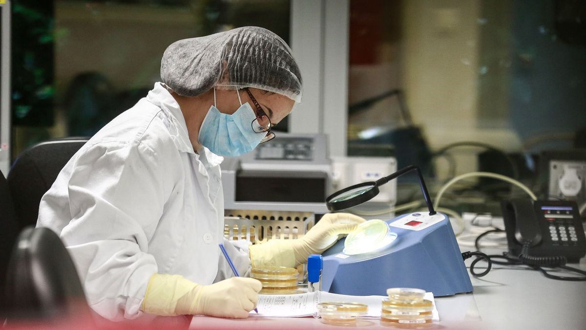 Felpörögtek a magyar feltalálók és egyetemek, rekordokat jelentett a Szellemi Tulajdon Nemzeti Hivatala