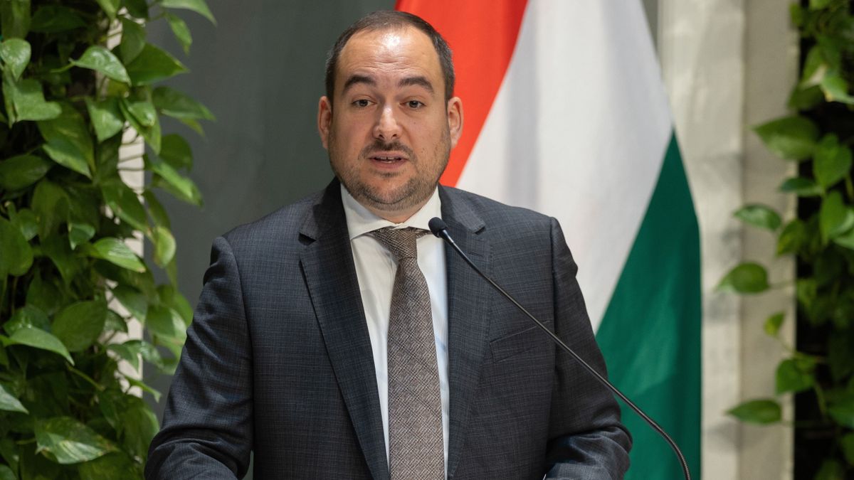 Még a héten befejeződik a Vác és Balassagyarmat közötti vasútvonal felújítása