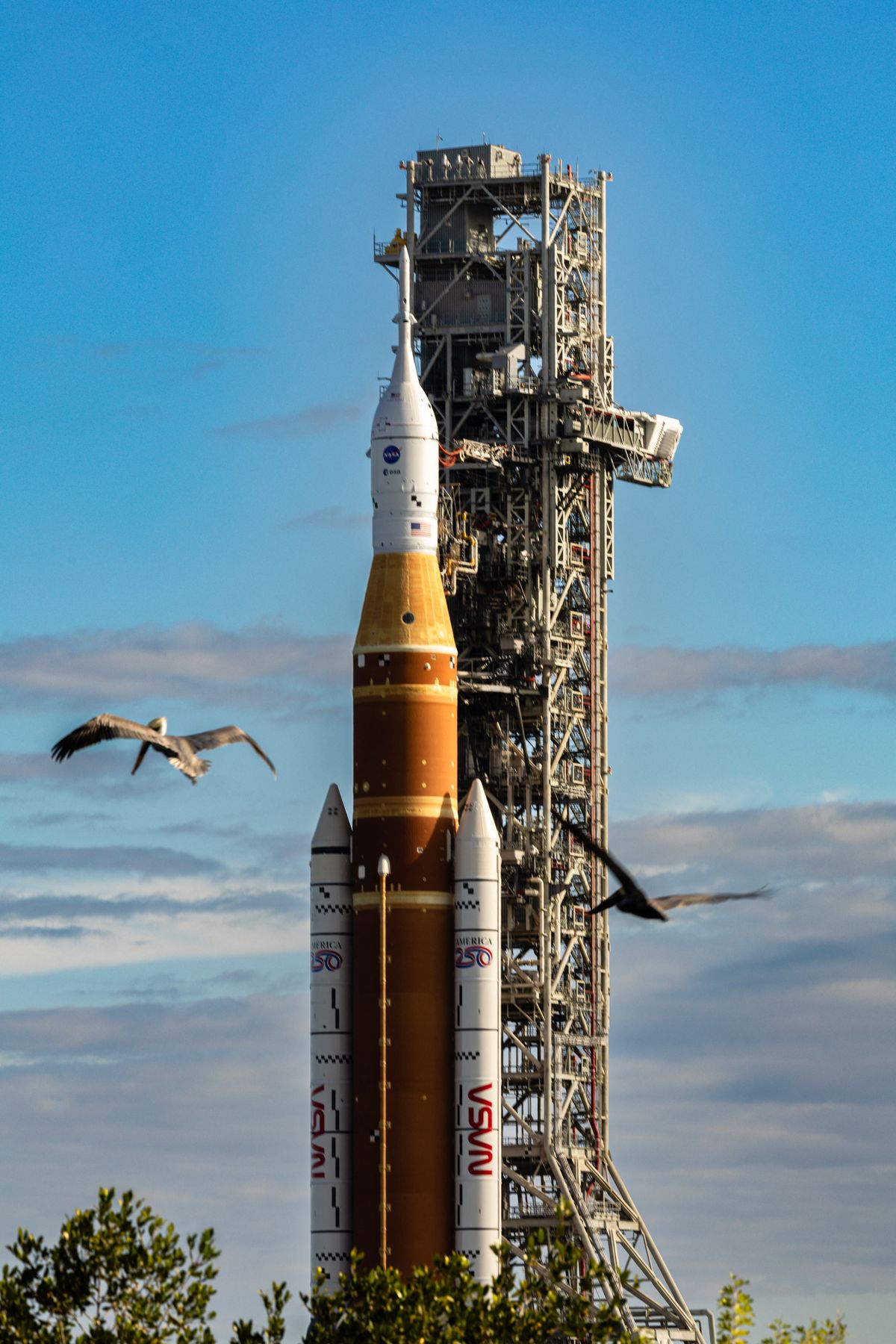 Lugas
In Cape Canaveral, Florida, on January 17, 2026, NASA's Artemis II rolls from the Vehicle Assembly Building at NASA's Kennedy Space Center. NASA's integrated SLS (Space Launch System) rocket and Orion spacecraft for the Artemis II mission roll to Launch Pad 39B ahead of the 10-day mission in February 2026, which takes the crew around the Moon and back to Earth. (Photo by Mauricio Paiz/NurPhoto) (Photo by Mauricio Paiz / NurPhoto via AFP)