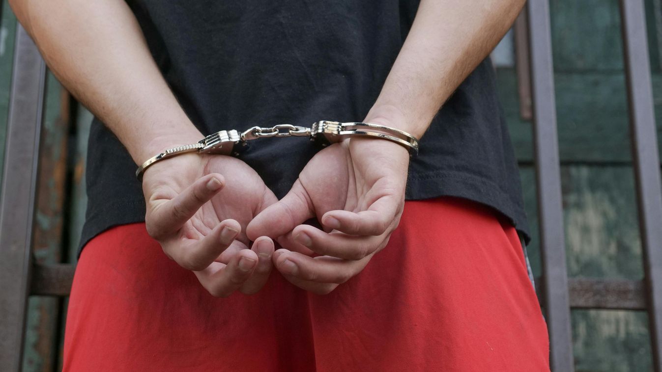 bilincs
illusztráció 
Pexels