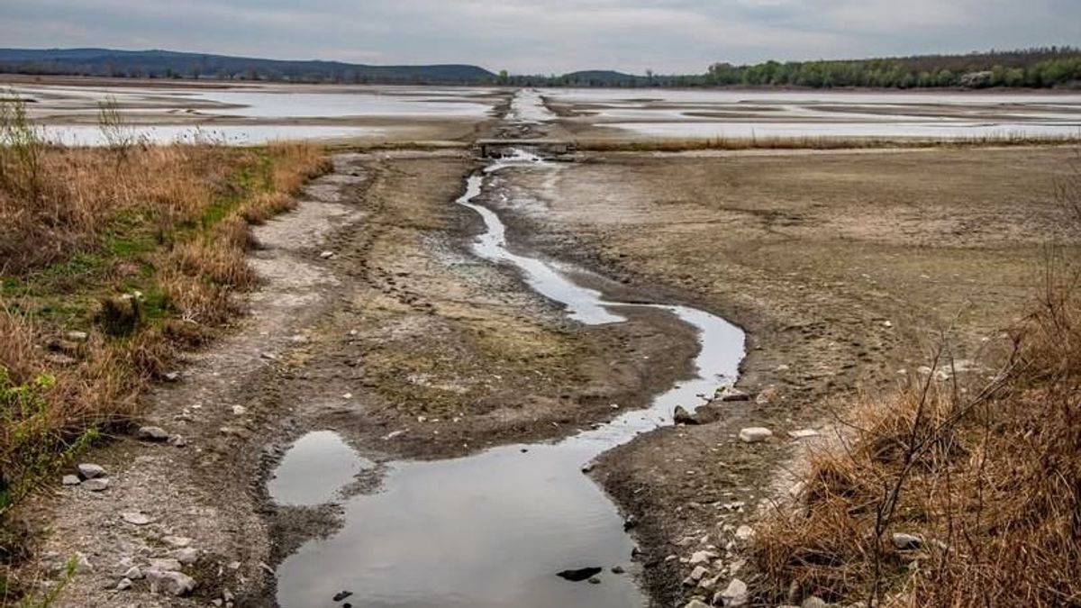 Tíz éve volt utoljára megfelelő állapotban a Pátkai-víztározó