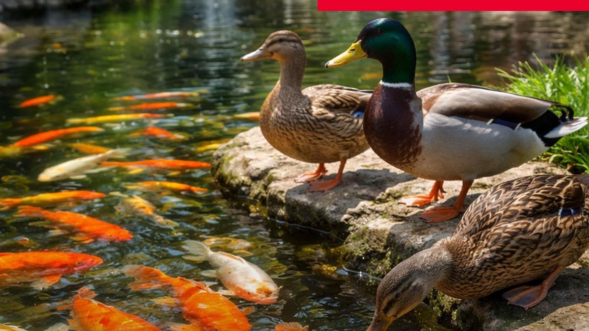 Egy fotó, egy csipet irónia – Orbán Viktor újabb fricskája Magyar Péter felé