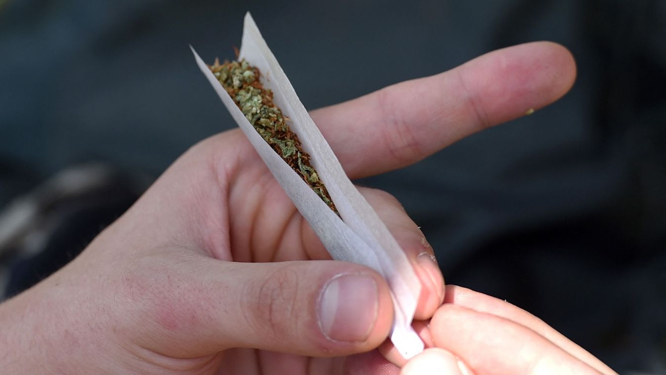 A participant of the 20th Hemp Parade rolling a joint in Berlin, Germany, 13 August 2016. The demonstrators demand the legalisation of cannabis as a material, medicine and stimulant with the motto 'Legalisierung liegt in der Luft' (lit. 'Legalisation is i