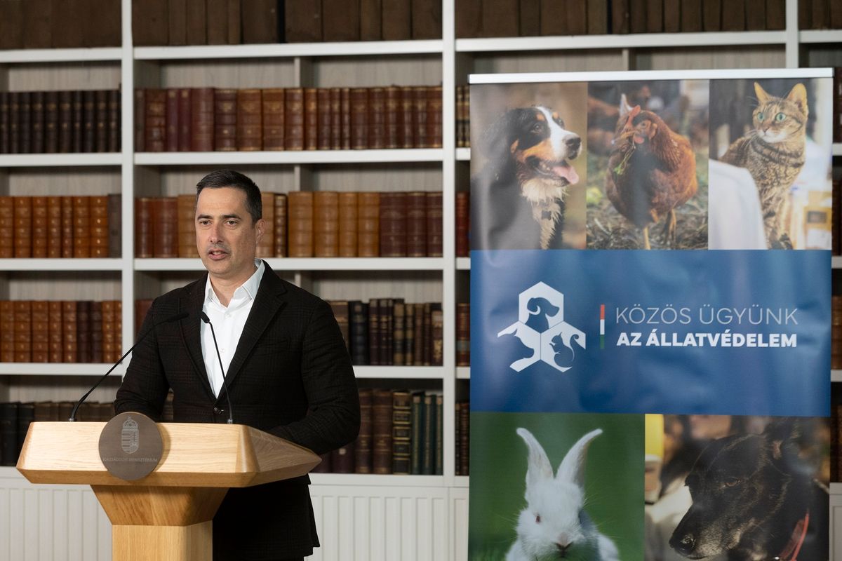 Budapest, 2026. január 20.
Ovádi Péter, az állatvédelmi cselekvési terv kidolgozásáért és végrehajtásáért felelős kormánybiztos sajtótájékoztatót tart az állatvédő civil szervezetek pályázati lehetőségéről az Igazságügyi Minisztériumban 2026. január 20-án. Második alkalommal indul egymilliárd forint keretösszegű pályázat állatvédő civil szervezeteknek.
MTI/Kocsis Zoltán