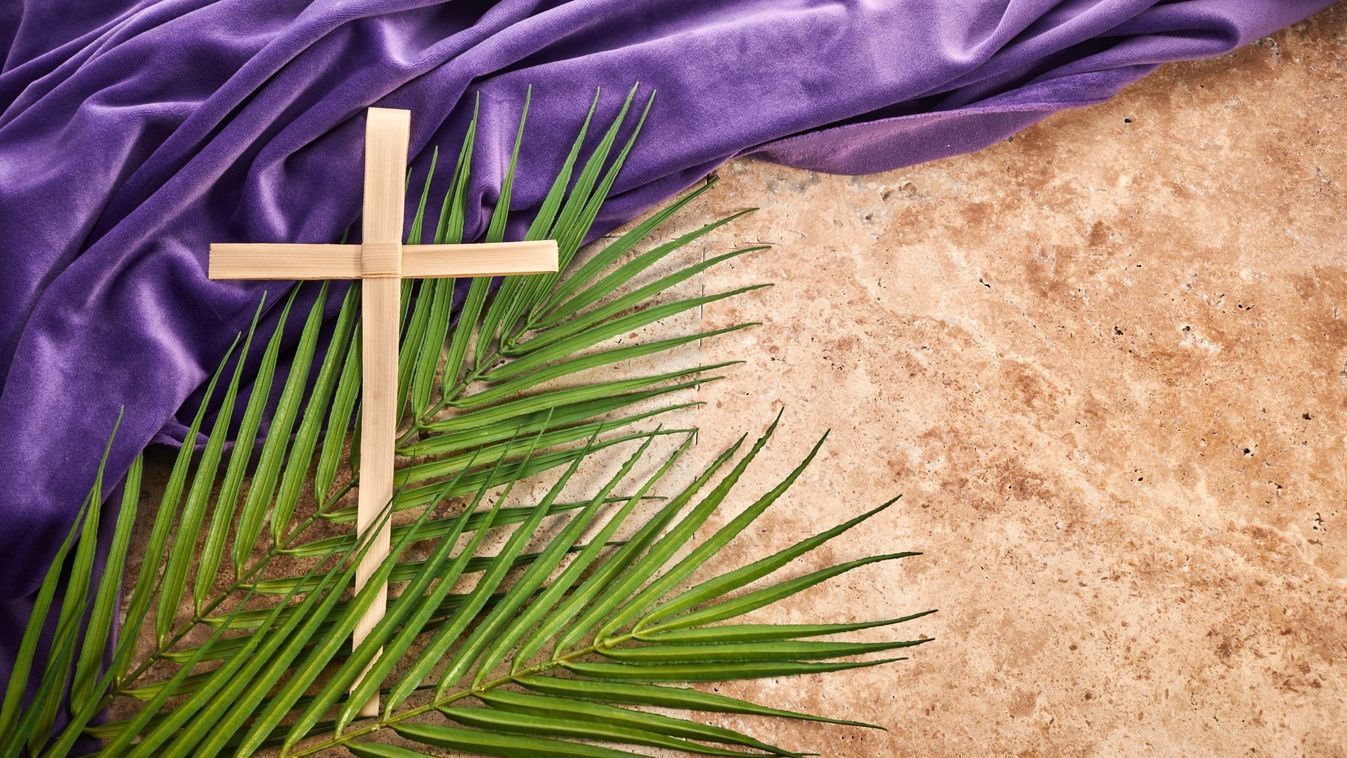 Cikk kép: undefined