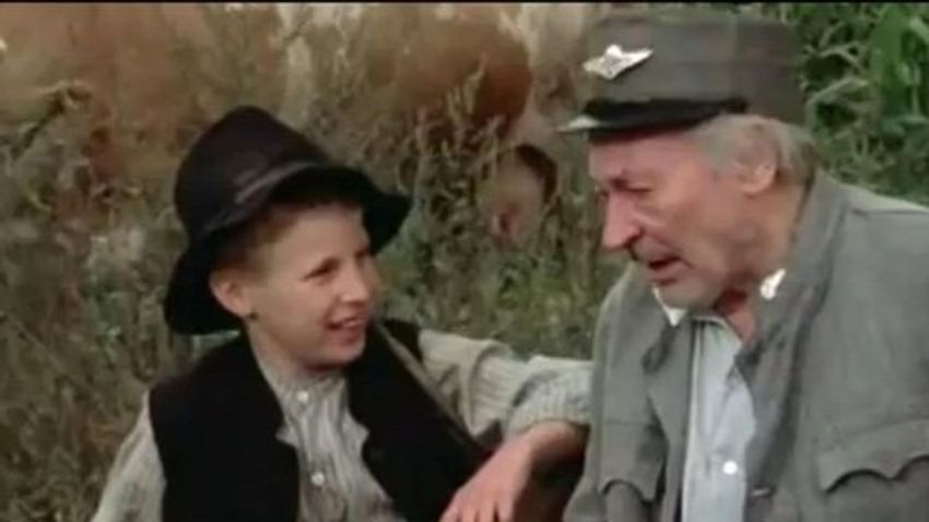 Kvíz kérdést ábrázoló kép.