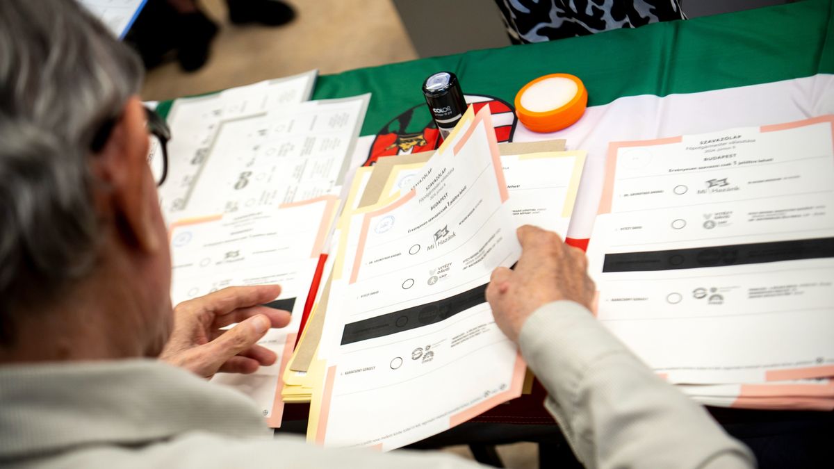 Budapest, 2024. június 9.
Szavazólapok az önkormányzati, európai parlamenti (EP-) és nemzetiségi választásokon a II. kerületi Áldás utcai általános iskolában lévő szavazókörben 2024. június 9-én.
MTI/Szigetváry Zsolt