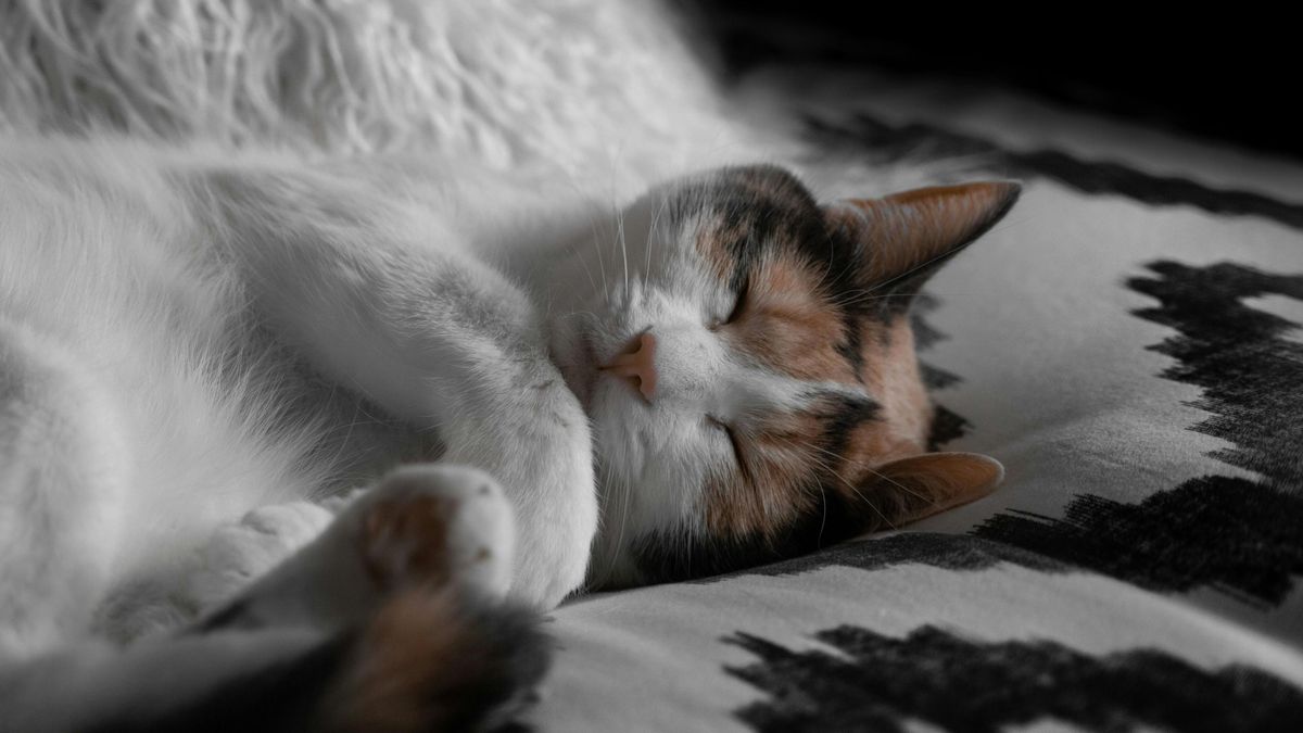 Délutáni szunyókálás: mikor segít és mikor árt?