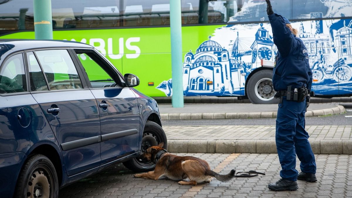 Az életben is egy párt alkotott a kábítószer-kereskedő páros