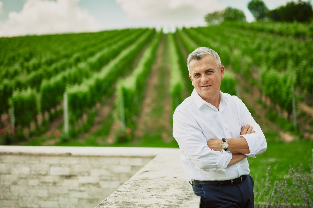 bor, export, Furmint Február