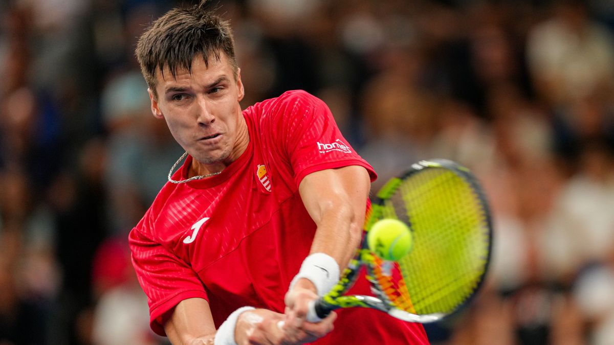 Marozsán Fábián őrületes csatája helyett Tóth Tiborral foglalkozott a Davis-kupa oldala