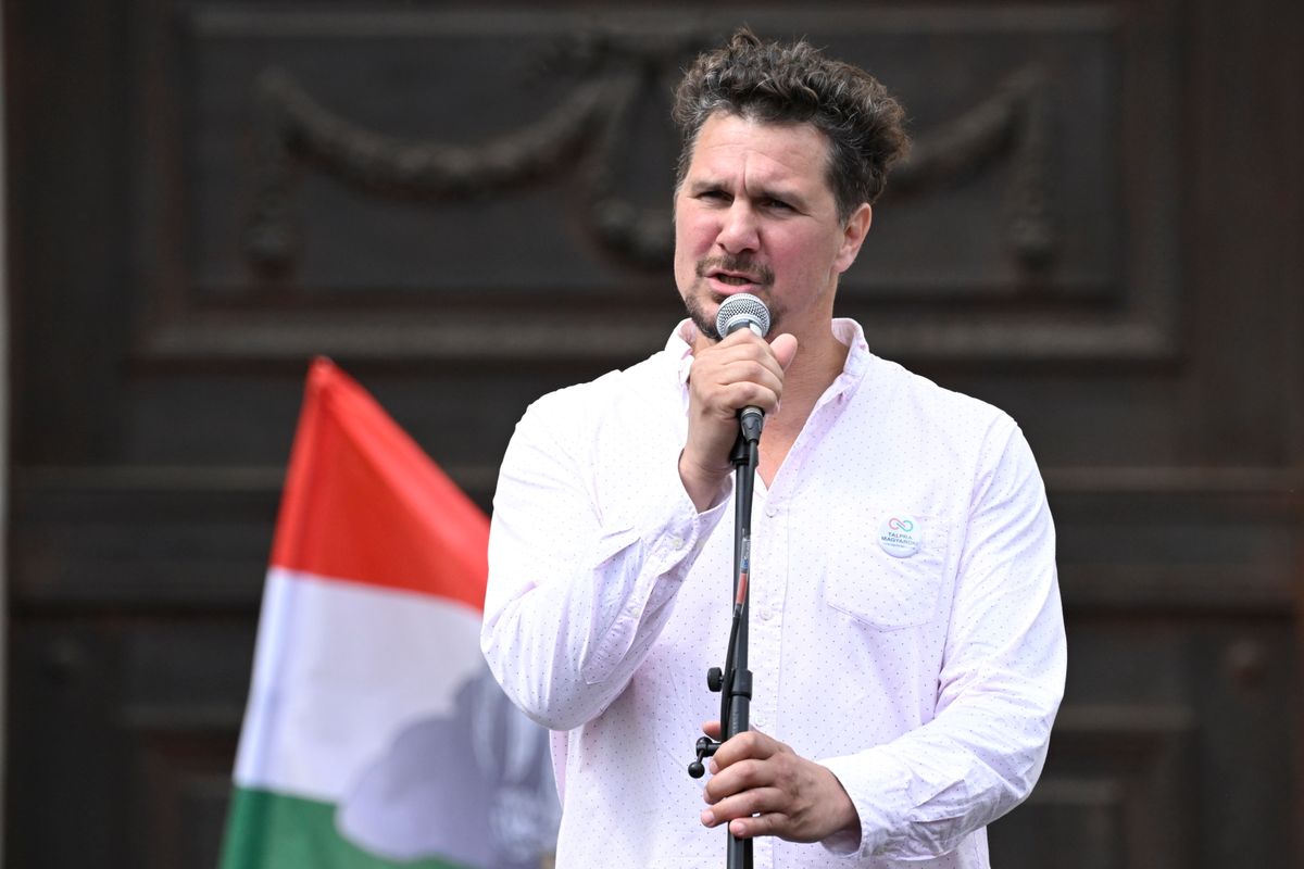 Nagy Ervin (Fotó: MTI/Koszticsák Szilárd)