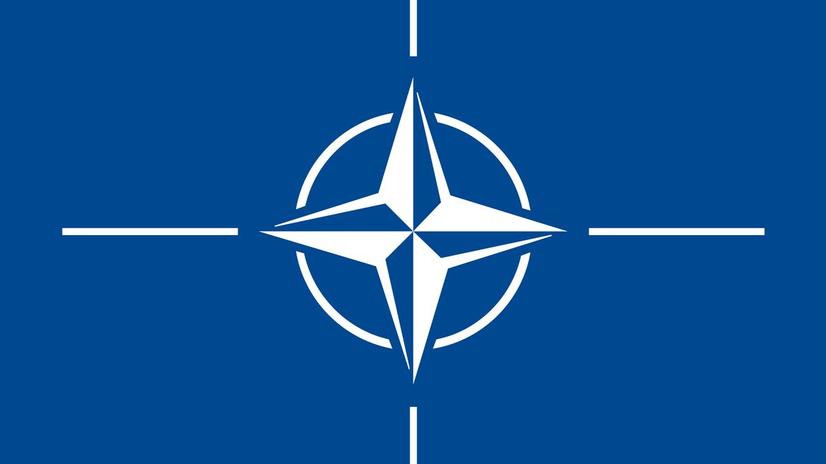 Robert C. Castel: A NATO és a francia atomernyő